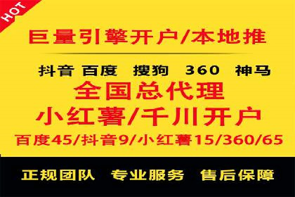 成功托管SEM竞价，实现品牌快速曝光